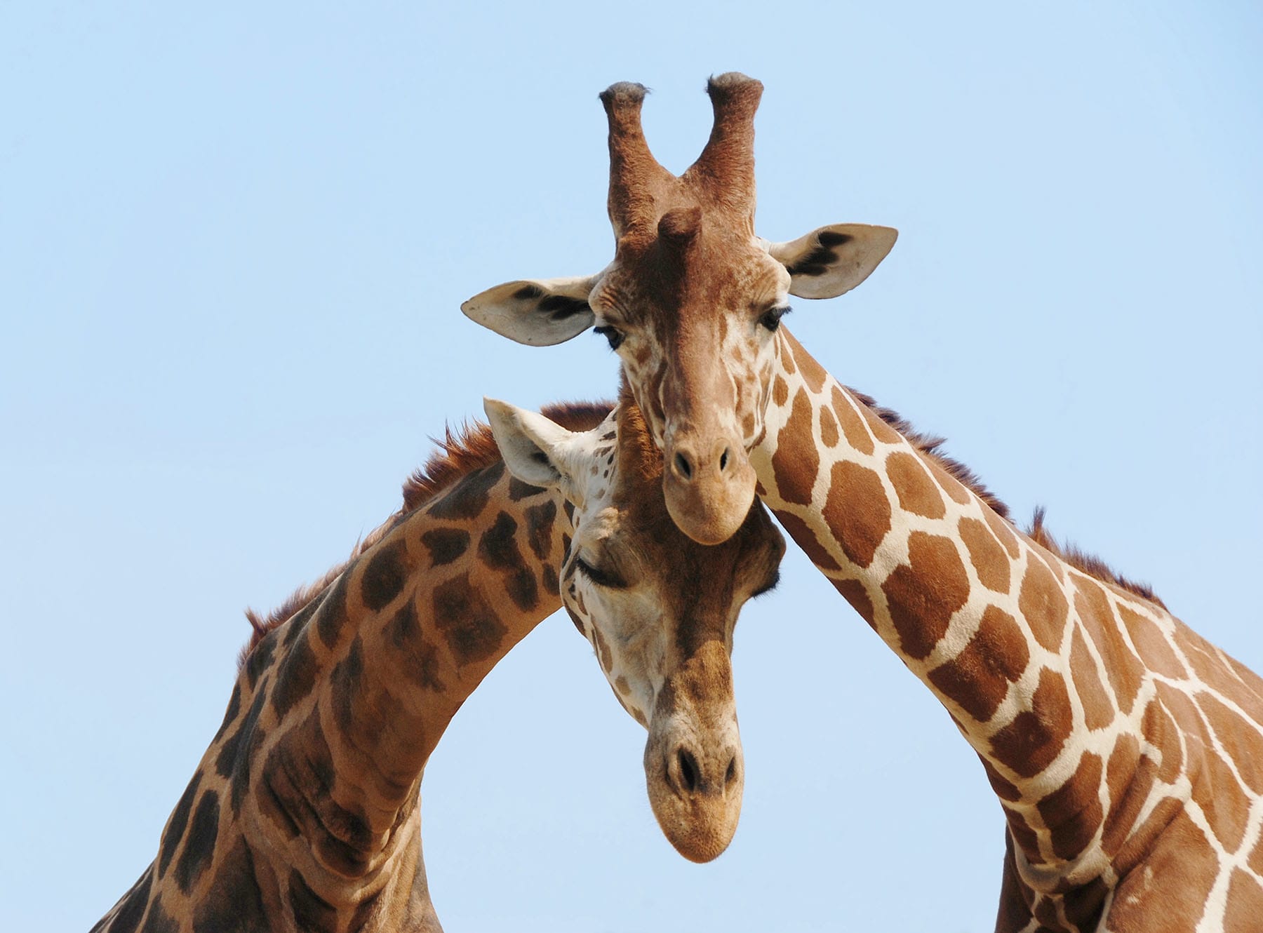 Adventure Honeymoons